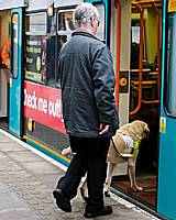 A guide dog and owner boards a Bury bound tram at Withy Grove.  Photo courtesy GMPTE 